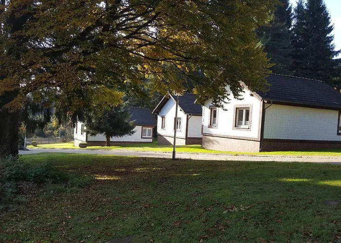 Ferienpark Ebertswiese Seligenthal