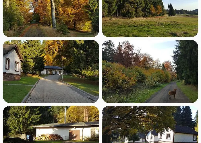 Ferienpark Ebertswiese Seligenthal